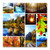 Autumn Snapshots Cardboard Jigsaw - 1000 Pieces