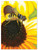 Sunflower Snack Cardboard Jigsaw Puzzle - 100 Pieces