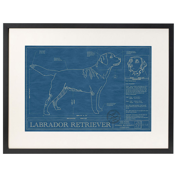 Large Dog Blueprints