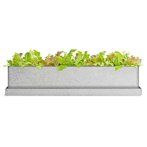 Gourmet Lettuce Windowsill Growbox