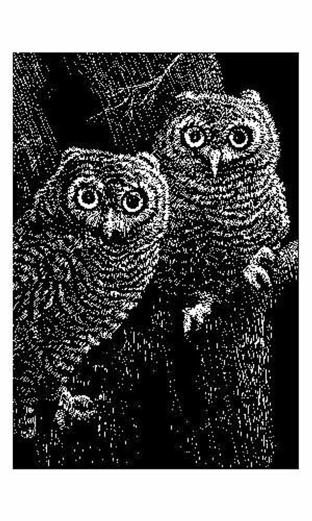 Scratch Art Black Coated 10 pt. Scratchboards (10 board)