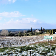 Domaine Gramenon 2018 - Biodynamic brilliance in the southern Rhone