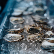 Oysters, Summer and Chilled Sake