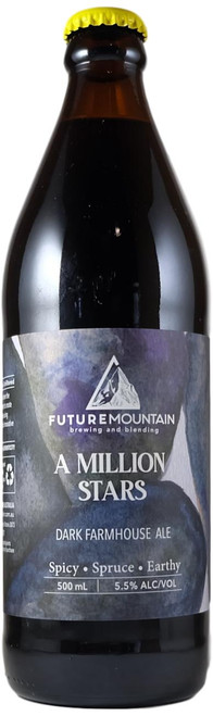 Future Mountain A million Stars  Dark Farmhouse Ale 500ml