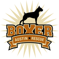 Austin Boxer Rescue