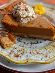 Halloween & Pumpkin Pie Halloween & Pumpkin Pie