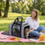 Foldable Pet Carrier with Wheels Airline Approved Rolling Cat and Dog Carrier-Black