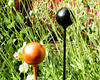 metal ball head stake in garden black, copper