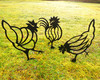 set of 3 hen chicken metla garden art