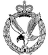 Army Air Corps Cap Badge