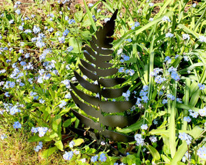 fern sculpture, garden sculpture fern sculpture, garden sculpture