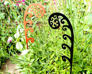 Fiddlehead fern metal garden stake black, copper in garden Fiddlehead fern metal garden stake black, copper in garden