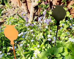 Poppy head metal garden stake black, copper in garden Poppy head metal garden stake black, copper in garden