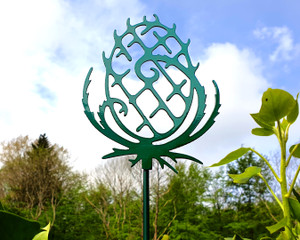 Teasel Sculpture Teasel Sculpture