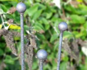 Ball Top Plant Stake Ball Top Plant Stake