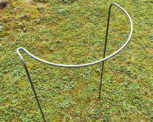 Bow Linking Plant Support Bow Linking Plant Support