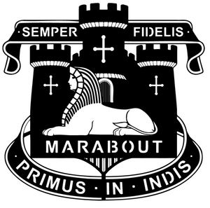 Devon and Dorset Regiment Cap Badge