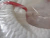 ProPack S6 Compression Packing 19mm 5.25kg BOX DAMAGE NEW