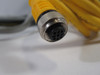 Federal Mogul Power Distribution Assembly 24VDC USED