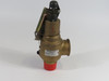 Kunkle Valve 6010GFM01-AM Safety Relief Valve 1-1/4" 250 psig ! NOP !