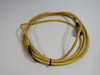 Trex-Onics IB011-ZA502-010-30 Connector Cable 3m Cut Cable 5-Pin Female USED
