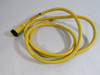 Allen-Bradley 889N-F3AFC-6F 3Pin Straight Cordset Ser.A 600V 13A 6ft NOP