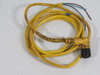 Brad Harrison 803001A09M020 90DEG Angle Cordset 4A@250V 1.5m *Cut Cable* USED