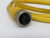 Woodhead Brad Harrison 804000A09M050 Microchange Cord 4-Pole Cut to 1.6m USED