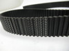 Gates TP-1200-5M-25 Timing Belt 1200mm L x 25mm W x 5mm T NOP