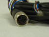 Brad Woodhead Connector Shielded Cable 5M ES34CP5B ! NEW !