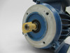 Invensys AC Induction Motor .18kW/.25HP 1710RPM 333/575V 3Ph SHELF WEAR NOP