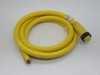 Lumberg RK100M-699/6F Single-Ended Cordset 10-Pin Female 1-1/8" 6FT USED