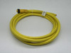 Lumberg RK80M-698/12F Single-Ended Cordset 8-Pin Female 11FT USED