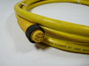 Lumberg RK80M-689/12F Cable Cordset 12FT USED
