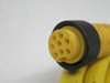 Lumberg RK80M-698/12F Single-Ended Cordset 8-Pin Female 11FT USED