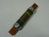 Gould NRN-100 One Time Fuse 100A 250V USED