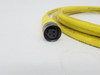 Woodhead 703000D02F060 Micro-Change 3P Female Cordset 6FT USED