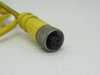 Remke 203A0060T1 Dual Key Micro-Link Plug Assembly 300V 3P *Shelf Wear* NWB