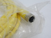 Brad Harrison 1200650366 804000D01M040 Female Cordset 4P 4A 250V RIPPED BAG NWB