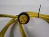 Turck RK-30-2M Cordset 300V 2m Cable USED