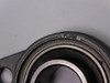 FYH UFL005J 2-Bolt Flange Bearing USED
