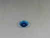 Vicas VC-36G Round Vacuum Cup ! NOP !