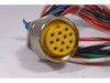 Turck RKF-126-1M/14.5/NPT Female Minifast Cordset 1-1/8"-16UN 12 Pin .5m USED