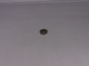 Nice 1616DS Double Shielded Deep Groove Bearing 28.575mmOD 12.7mmID 9.525mmW NOP