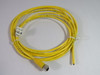 Lumberg RKT 5-612/5M (60000314) Female 5-Pole 250V M12 Yellow 5M Cord ! NOP !