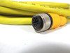 TURCK 4t-4/s600 Eurofast Connecting Cable *Cos Dmg* NOP