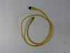 Daniel Woodhead 843030A10M010 Cordset Male 3Pin Female 4Pin 1m USED