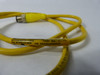 Brad Harrison 884030A09M010 Cordset 4Pin M/F 250V 4A 1m USED
