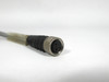 Murrelektronik MSFL0-H-RJB0.6 Connector Cable (3813151) USED