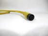 Brad Harrison 804000C02M100 Cordset 4 Pin 10M USED